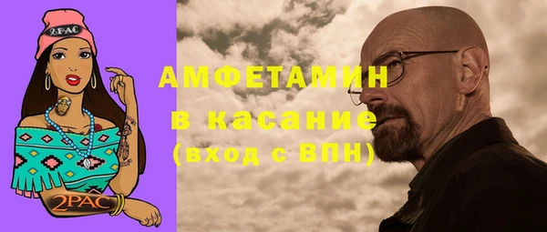 дмт Бородино